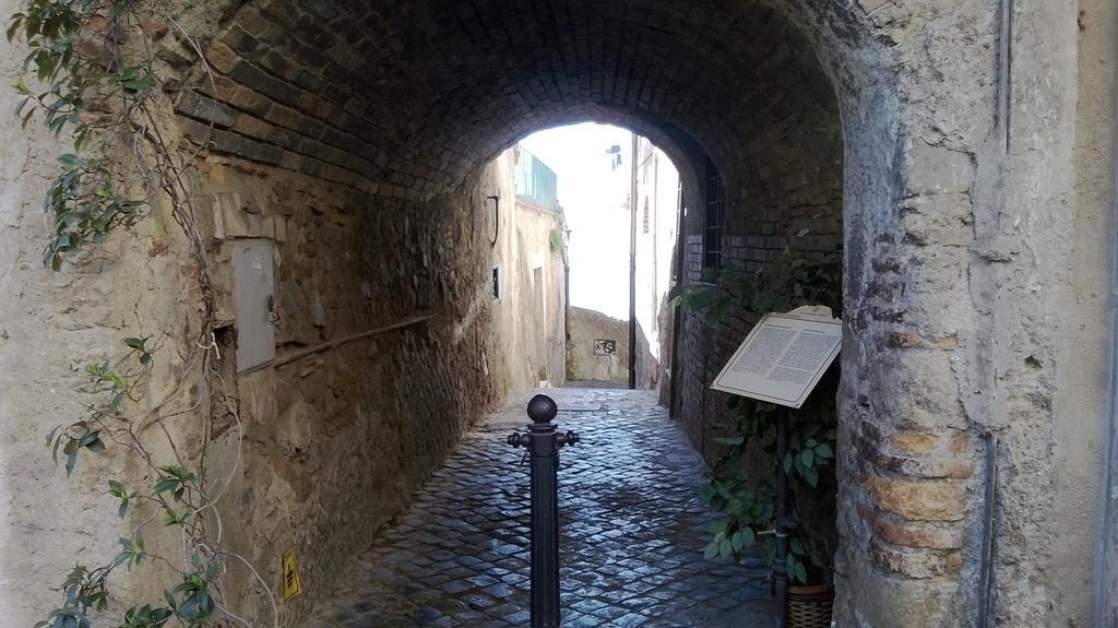 La Casa Sul Lago Anguillara Sabazia Quarto foto